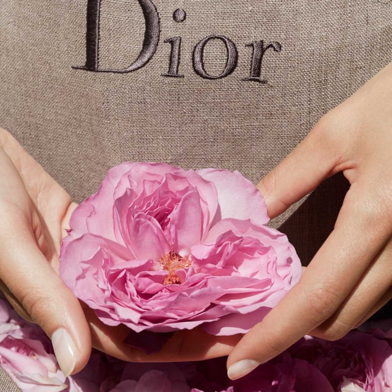 MISS-DIOR-ROSE-N-ROSES-EAU-DE-TOILETTE-100-ML