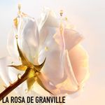 BALSAMO-EN-ACEITE-DIOR-DESMAQUILLANTE