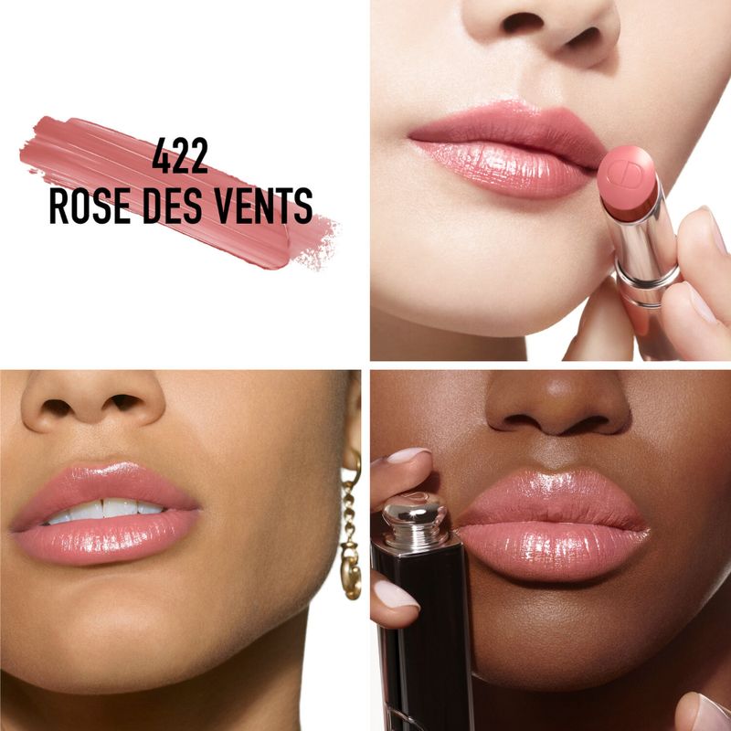 LABIALES-DIOR-ADDICT-422-ROSE-DES-VENTS