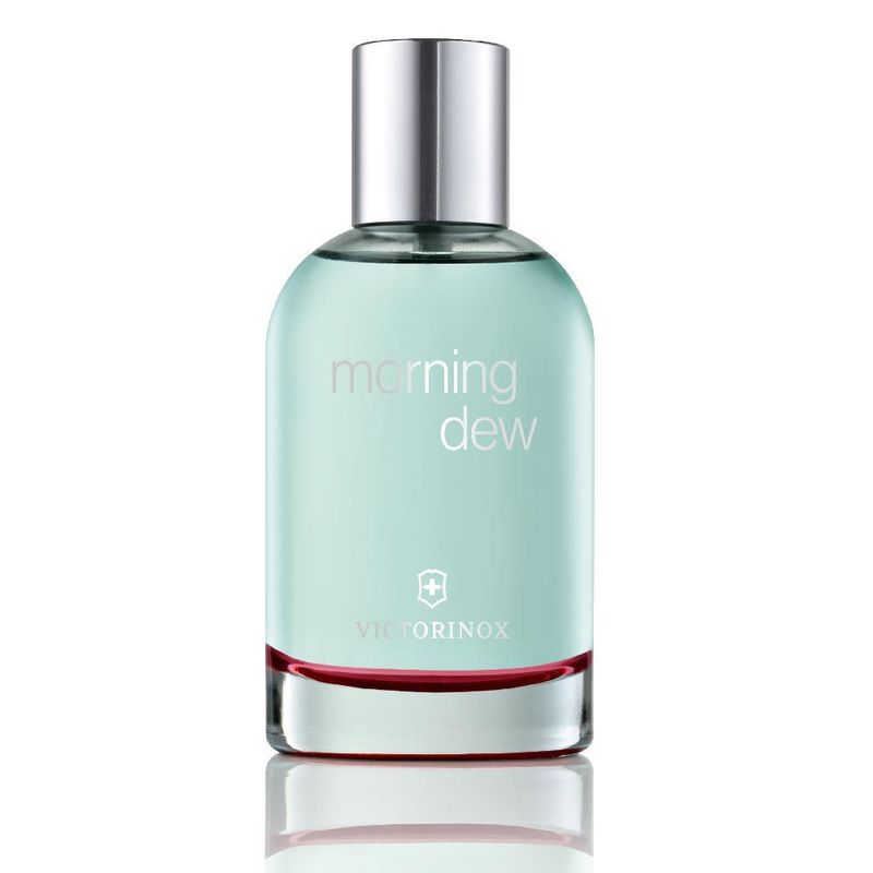PERFUME-VICTORINOX-MASCULINO-MORNING-DEW-EDT--