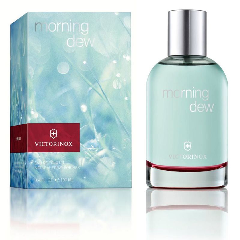 PERFUME-VICTORINOX-MASCULINO-MORNING-DEW-EDT--