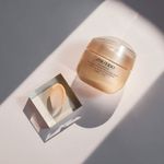 CREMA-ANTIARRUGAS-SHISEIDO-BNF-OVERNIGHT-WRINKLE-RESISTING-CREAM