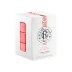 JABON-ROGER---GALLET-FLEUR-DE-FIGUIER-