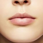 PRIMER-MAC-PREP--PRIME-LIP