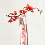 PERFUME-KENZO-FLOWER-IKEBANA-MUJER-EDP